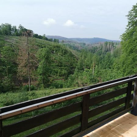 Harz-Butze Leilighet Sankt Andreasberg Eksteriør bilde