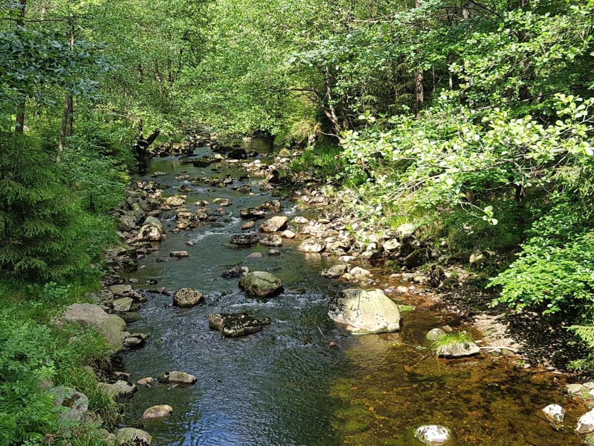 Harz-Butze Leilighet Sankt Andreasberg Eksteriør bilde
