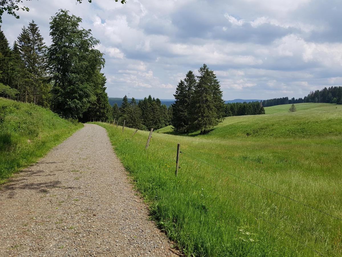 Harz-Butze Leilighet Sankt Andreasberg Eksteriør bilde
